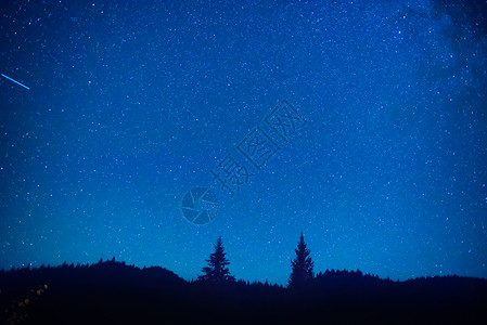 神秘森林上方的深蓝色夜空背景图片
