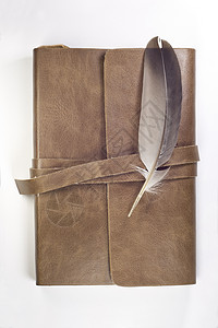 棕色羽毛和笔记本的羽毛条纹边界工作室棕色工作装饰品白色背景