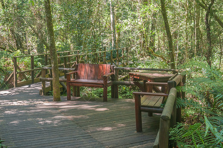 常住的乐园椅子森林甲板踪迹长椅阴影小路座位高清图片
