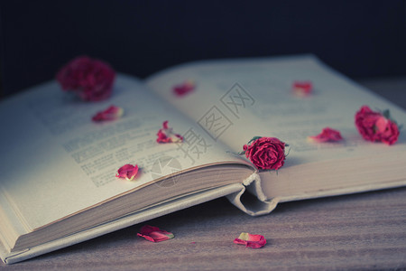 红色诗歌干玫瑰和开放书浪漫周年桌子调子纪念日笔记花瓣衰老古董植物背景