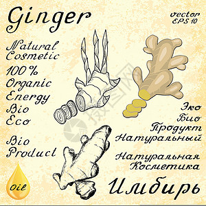 化妆品店传单Ginger 一套3幅绘画和手写字母 英文和俄文文本 生态友好背景