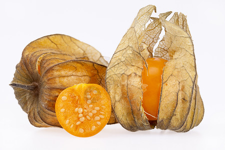 白种下孤立的西沙里斯秘鲁西沙里斯异国季节食物情调浆果水果灯笼醋栗热带橙子背景图片
