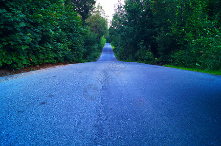 空道路沥青树木长堤背景图片