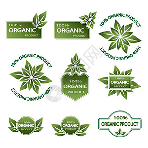 产品剪贴画一组彩色徽章天然产品贴纸植物剪贴绿色横幅艺术食物装饰图表风格背景