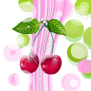 樱桃圆圈红色粉色叶子植物学季节白色水果绿色食物背景图片