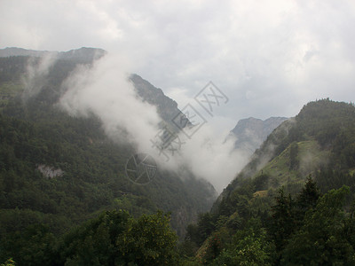戈林多雾路段神秘森林高清图片