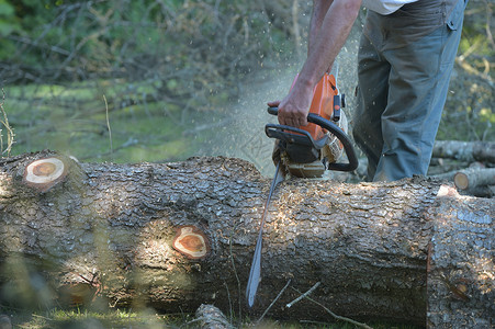 Man 剪切树对清除的视图修枝安全工业蓝色绳索木工人职业装木材男士摄影背景图片