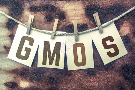 GMOs GMOs 概念在双线主题上的粘贴印章卡高清图片