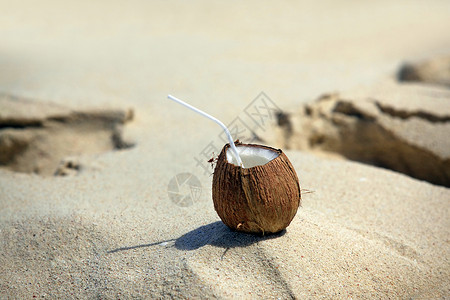 椰子叶子海滩棕榈素食主义者坚果营养食物水果异国生活高清图片