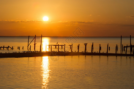 与码头和鸟儿一起在海湾上落日背景图片
