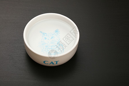 黑地板陶瓷碗中的猫水背景图片
