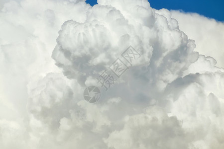 云层特写背景背景场景阳光天气泡沫气象蓝色活力墙纸空气环境背景图片