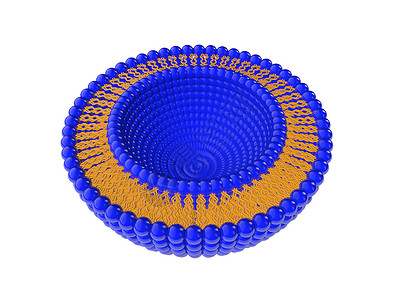 疏水的利波萨双层结构 3D 说明医疗配体运输脂质体表面药品细胞药物结晶疏水性背景