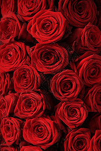 大红玫瑰花瓣鲜花婚礼花束团体新娘浪漫背景图片