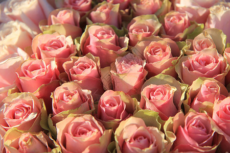 新娘布置中的粉红玫瑰植物群花朵植物学装饰品团体中心花束绿色婚礼庆典背景图片