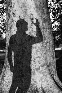 黑色阴影边框芒在树上的影子树干男性墙纸木头时间荒野剪影热情浪漫阴影背景