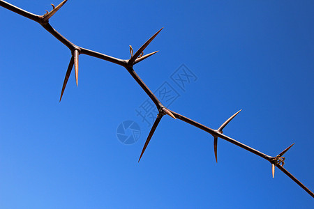 天空上有巨大的刺背景图片