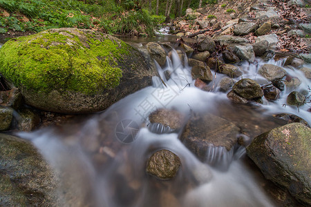 蒙奇克健康的森林河岩石运动地球瀑布植物跑步苔藓生活荒野环境背景
