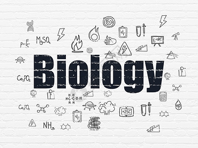 拟物理财办图标背景墙上的科学概念生物学测量涂鸦教育实验化学学习物理草图勘探建筑学背景