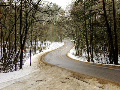 立陶宛森林穿过冬季森林的曲流道路背景