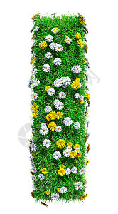 字母 I 的绿草和花案件艺术生长地球首都生态环境绿色植物植物洋甘菊背景图片