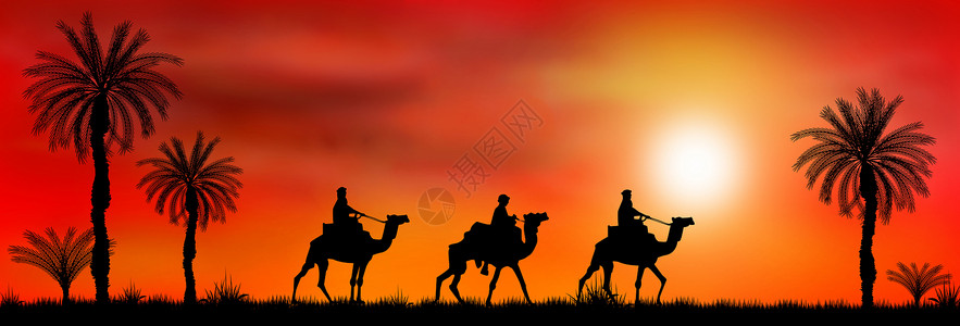 日落时骑骆驼动物黑色景观大篷车绿洲红色插图团体沙漠太阳背景图片