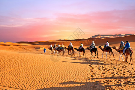移动沙丘骆驼大篷车穿过撒哈拉沙漠的沙丘日落沙漠男人蓝色旅行天空运输背景