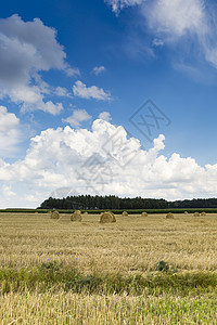 黑色的蝌蚪波兰苏瓦西景观公园旅游远足假期村庄全景闲暇蝌蚪观光天空公园背景