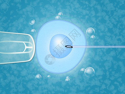 人工受精排卵生育力生物学生殖技术生活药品实验室怀孕遗传背景图片