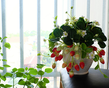 粘土花艺术 家居装饰用草莓锅浆果窗户工艺艺术工匠精神花盆水果植物白色背景图片
