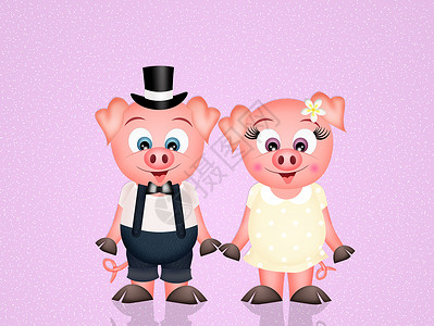 猪婚礼夫妻明信片插图农场粉色微笑配偶情人婚姻庆典高清图片