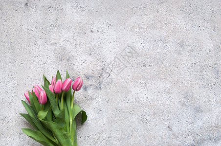鲜花空白水泥广告花朵粉色背景图片