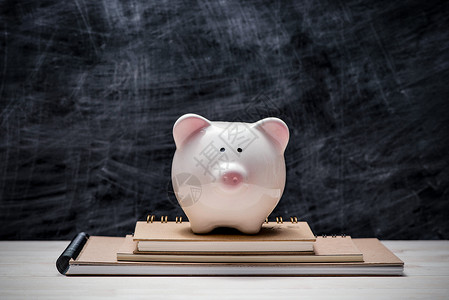 教育财政储蓄 粉红小猪银行 在书籍和木板帽子银行投资小猪学费学校学生大学银行业背景图片