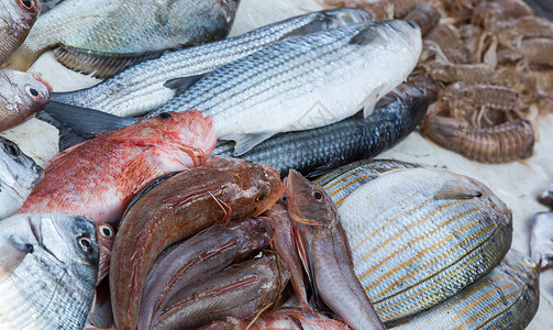 红市摩洛哥市场上销售的新鲜鱼和其他海产食品已准备就绪烹饪饮食乌贼维生素食物钓鱼餐厅海洋鳀鱼对虾背景