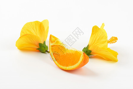 花朵和橙子片香味味道植物芳香水果食物黄色橙子热带高清图片