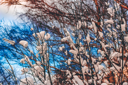 韩寒电影冬季寒雪风景树木电影蓝色天空废墟白色石头戏剧性木头棕色背景