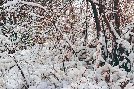 韩寒电影冬季寒雪风景天空废墟蓝色棕色石头电影白色树木木头戏剧性背景