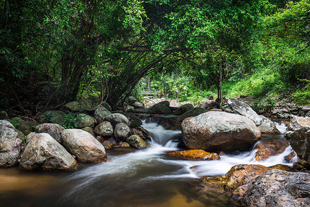 战俘热带森林中岩流的水道背景