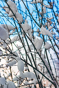 韩寒电影冬季寒雪风景天空戏剧性蓝色石头棕色树木白色电影废墟木头背景