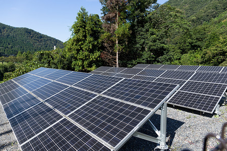 减少能源消耗户外太阳能电池板力量太阳能太阳需求发电机细胞森林植物蓝色活力背景