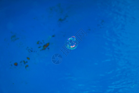 水母与泡泡肥皂泡泡在游泳池里圆圈反射流动蓝色水池海洋花园液体气泡漂浮背景