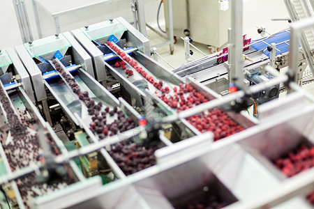 排序素材冷冻草莓加工企业制造业冰箱仓库收成浆果食物水果冻结宏观工作背景