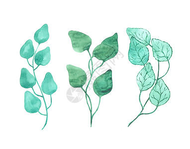 树叶画孤立在白色背景上的明亮水彩叶枝条插图装饰艺术品手绘植物树叶墙纸季节刷子背景