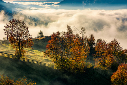 人生有梦各自精彩华丽的乡村 山谷中雾雾不断叶子天空天堂爬坡果园木头栅栏水果阴霾山坡背景