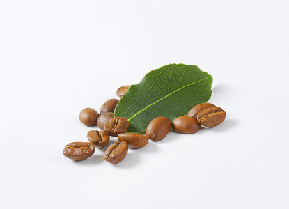 咖啡豆叶子烤咖啡豆棕色叶子绿色贸易咖啡团体背景