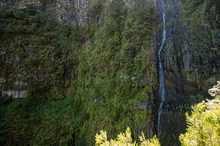 里斯科25字体的Levada石头岩石旅行小路喷泉踪迹美丽森林灌溉溪流背景