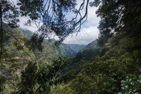 Caldeirao 佛得角的Levada美丽热带小路旅游岩石灌溉阴影远足踪迹溪流图片