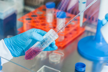 科学家在无菌兜帽下用猎鹰管工作微生物学调查架子管子兜帽实验室生物学蓝色样本遗传学背景