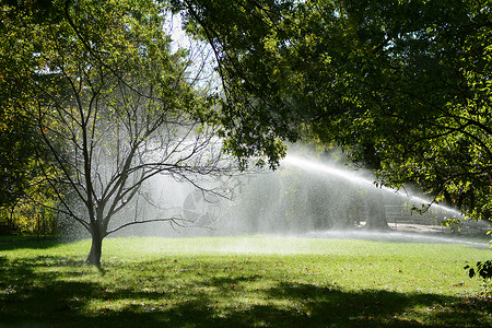 喷射水树上喷洒灭水器的漏水滴子背景