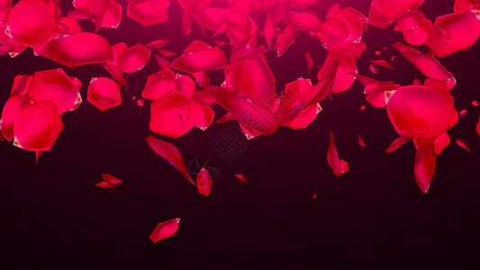 红色飞舞花瓣落在黑色背景上的玫瑰花瓣纪念日场地庆典植物粒子花瓣飞行美丽婚礼亮度背景